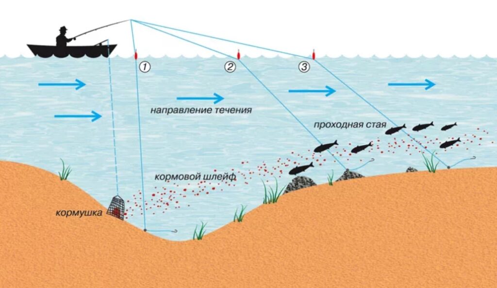 Где и как ловить леща