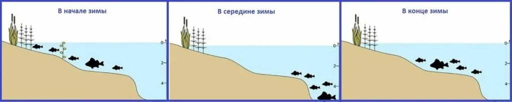 Где искать окуня