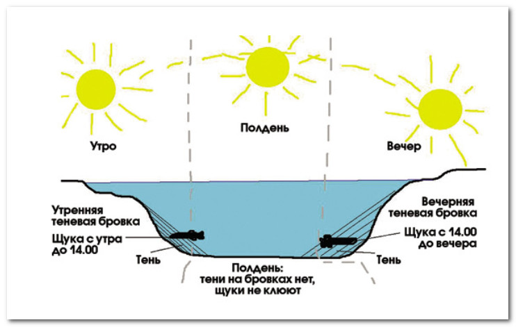 Где искать щуку?