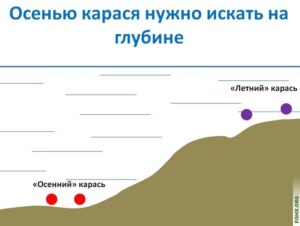 Где ловить карася