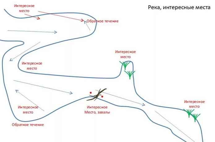 Где ловить плотву