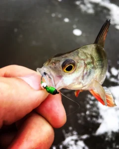 Мормышка на окуня