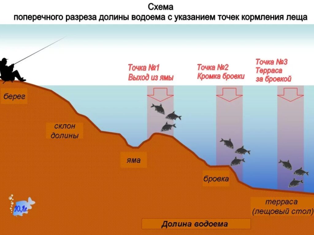 Районы обитания леща