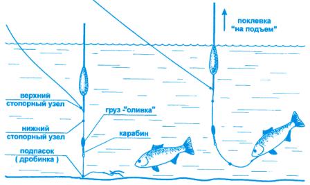 Тактика ловли карася