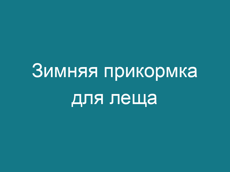 Зимняя прикормка для леща